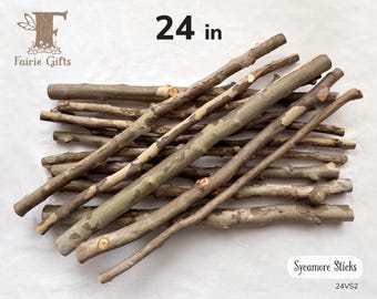 Hardwood Stick 24 in, Sycamore Branch 2 ft, Wall Hanging Supply, Macrame Pole, Rustic Rod, Sticks for Stakes