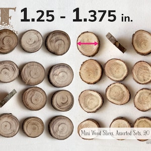 May include: A collection of 20 mini wood slices, assorted sets. Each slice measures between 1.25 and 1.375 inches in diameter. The natural wood slices have a light brown color with visible wood grain and bark edges. Text on the image reads "Mini Wood Slices, Assorted Sets, 20 pcs".