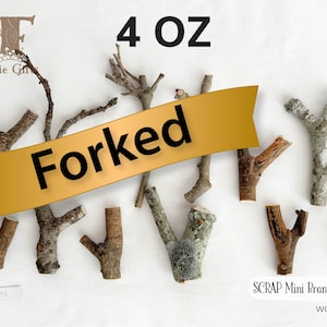 SCRAP Mini Forked Branches, Forked Tip Limbs, Assorted Sticks with Fork Ends, Decorative Twigs, Y Shaped Sticks Bundle, Natural Craft Supply