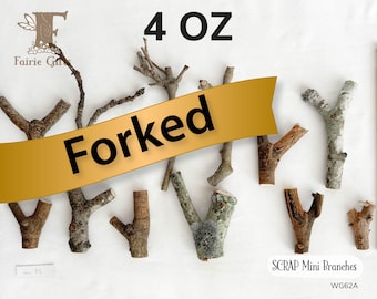 SCRAP Mini Forked Branches, Forked Tip Limbs, Assorted Sticks with Fork Ends, Decorative Twigs, Y Shaped Sticks Bundle, Natural Craft Supply