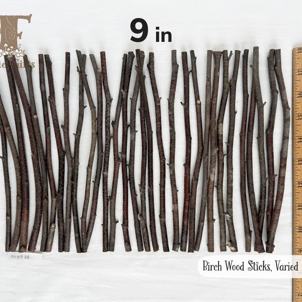 Wood Sticks 9 in, Red Birch Branches, Dried Wooden Sticks, Twig Bundle, Rustic Sticks, Wood Supply, Craft Sticks Varied Thickness