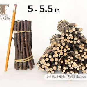 Wood Sticks 5 in, Red Birch Branches, Dried Wooden Sticks, Stem Supply, Varied Thickness Stick Bundles, Pumpkin Stick,