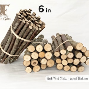 Wood Sticks 6 in, Red Birch Branches, Dried Wooden Sticks, Stick Bundles, Stem Supply, Varied Thickness Stick Bundles, Pumpkin Sticks