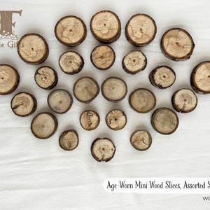 May include: A collection of assorted wood slices, each with a unique shape and texture. The slices are all natural wood, with a rustic, aged look. The wood slices are perfect for crafting, decorating, or adding a natural touch to your home.