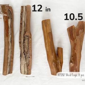SCRAP Wood Logs 2ct, Seconds Wood for Crafts, Crepe Myrtle Tree Supply, Rustic Wood Stumps, Sturdy Wood Branch, Hardwood Logs