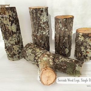 Seconds Wood Logs, Maple Logs 12 in, Natural Tree Supply, Rustic Stump for Vivariums, Terrarium Wood, Decay Wood