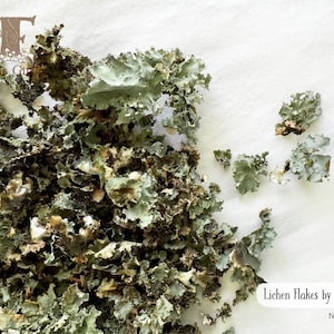May include: A pile of dried lichen flakes in shades of green, brown, and gray, with a textured appearance. The image is taken on a white background. Text on the image reads "Lichen Flakes by Cup" and "NF101".
