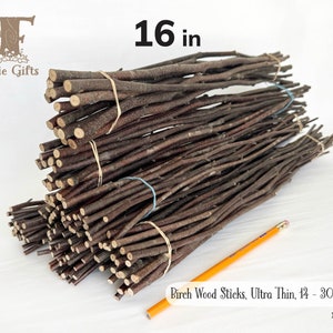 Ultra Thin Wood Sticks 16 in, Red Birch Branches 14-30 ct, Dried Wooden Sticks, Twig Bundle, Craft Branches, Natural Rustic Wood Supply