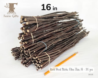 Ultra Thin Wood Sticks 16 in, Red Birch Branches 14-30 ct, Dried Wooden Sticks, Twig Bundle, Craft Branches, Natural Rustic Wood Supply