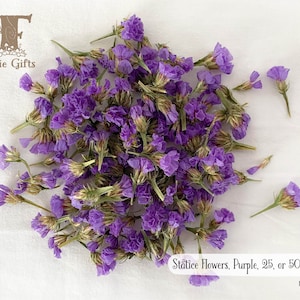 Statice Flowers, Purple Flowers, Dried Limonium Flowers, Natural Mini Flowers, Botanical Craft Supply, Miniature Dried Petals