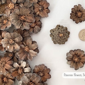 Pinecone Flowers 8-12 pcs, Small Pine Cone Flowers, Rustic Ornament, Pinecone Daisy, Dried Pine Cone Flowers for Wreaths, Wedding Decor
