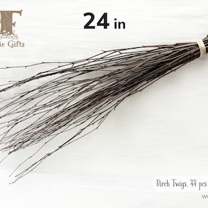 Red Birch Twigs 24 in, Twig Bundle 44 ct, Red Birch Branches, Bendable Branches, Decorative Sticks, Thin Wood Sticks, Broom Supply