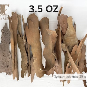 Sycamore Bark 3.5 oz, Natural Tree Bark, Curly Bark Pieces, Forest Craft, Rustic Decoration, Small Thin Bark Strips, Fairy House Supply