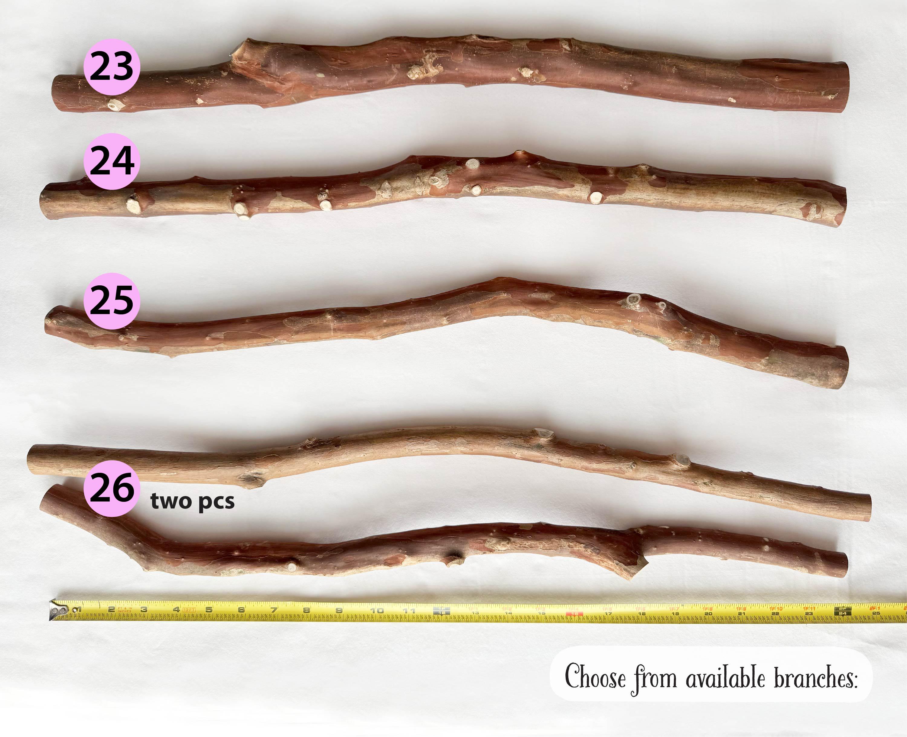 Hardwood Sticks 2 Ft, Crepe Myrtle Branches, Wall Hangings, Macrame ...