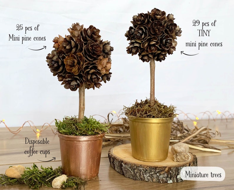 May include: Two miniature trees made from mini pine cones. One tree is in a copper-colored disposable coffee cup, and the other is in a gold-colored cup. The text reads "25 pcs of Mini pine cones" and "29 pcs of TINY mini pine cones".