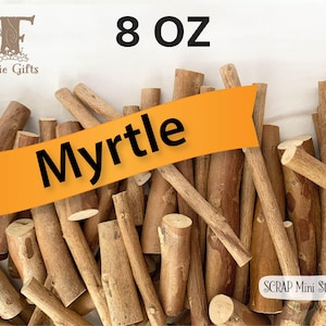 SCRAP Mini Wood Sticks 8 oz, Crepe Myrtle Branches, Seconds Wooden Twigs in Assorted Sizes, Mini Sticks Bundle, Natural Rustic Craft Supply