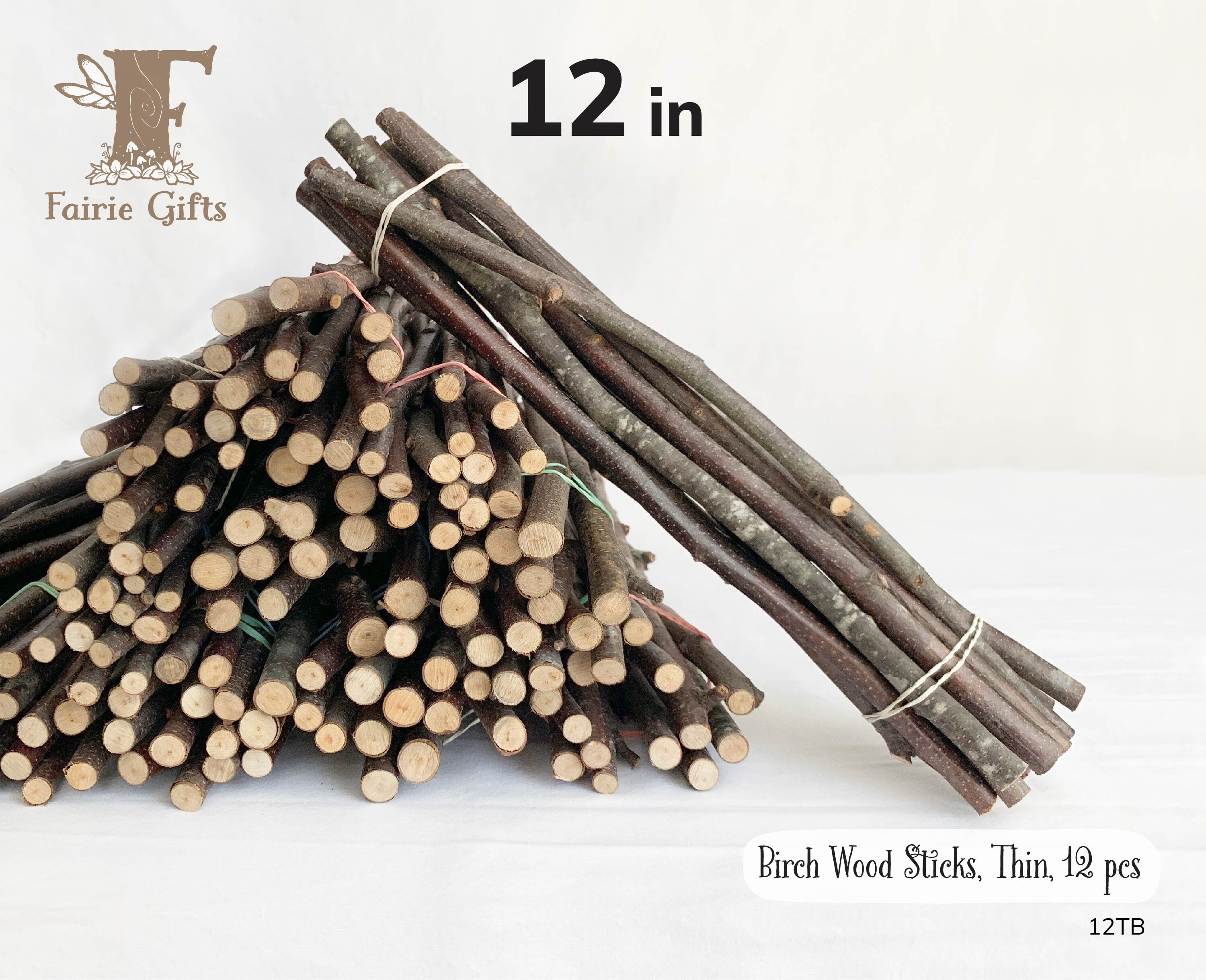 Small Natural Birch Branch Tips 8-12. Pack of 40 tips for Floral and Craft  Application