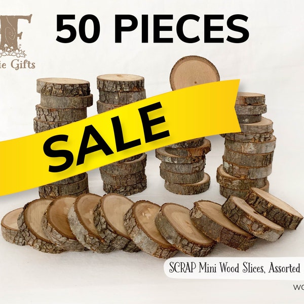 50 SCRAP small wood slices, small mixed wooden circles, assorted sizes wood slices, mini wooden slices, rustic wood circles for crafts