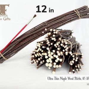 Ultra Thin Wood Sticks 12 in, Maple Wooden Sticks 18-24 ct, Twig Bundle, Craft Branches, Rustic Sticks, Dried Wooden Supply