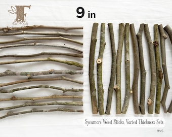 Wood Sticks 9 in, Sycamore Branches 6-24 ct, Dried Wooden Sticks, Twig Bundle, Rustic Sticks, Wood Supply, Craft Sticks Varied Thickness