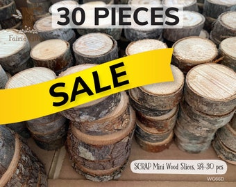 SCRAP Mini Wood Slices 24-30 ct, Seconds Wooden Circles, Assorted Sizes Wood Disk, Small Tree Slices, Rustic Wood Circles for Crafts