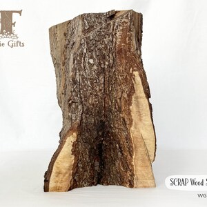 SCRAP Wood Slab, Seconds Wood for Crafts, Decorative Hardwood, Natural Tree Supply, Rustic Wood Stump, Sturdy Wood, Bark Log image 1