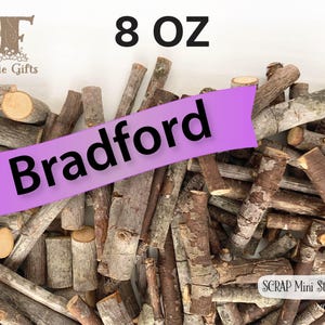 SCRAP Mini Wood Sticks 8 oz, Bradford Branches, Seconds Wooden Sticks in Assorted Sizes, Mini Sticks Bundle, Pumpkin Sticks, Stems for Craft