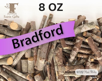 SCRAP Mini Wood Sticks 8 oz, Bradford Branches, Small Sticks in Assorted Sizes, Rustic Craft Sticks, Twigs Bundle