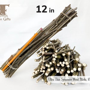 Ultra Thin Wood Sticks 12 in, Sycamore Wooden Sticks 18 ct, Twig Bundle, Craft Branches, Rustic Sticks, Dried Wooden Supply