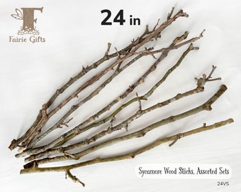 Wood Sticks 24 in, Sycamore Wooden Sticks, Twig Bundle, Craft Branches, Rustic Sticks, Dried Wooden Supply