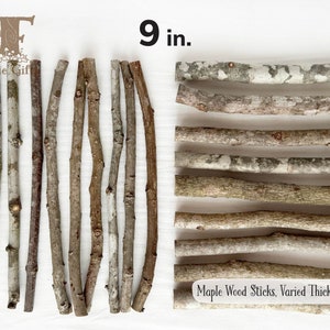 Wood Sticks 9 in, Maple Branches 5-24 ct, Dried Wooden Sticks, Twig Bundle, Rustic Sticks, Wood Supply, Craft Sticks Varied Thickness