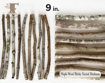 Wood Sticks 9 in, Maple Branches 5-24 ct, Dried Wooden Sticks, Twig Bundle, Rustic Sticks, Wood Supply, Craft Sticks Varied Thickness