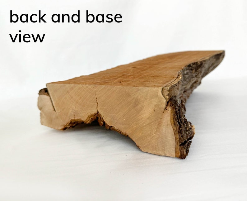 SCRAP Wood Slab, Seconds Wood for Crafts, Decorative Hardwood, Natural Tree Supply, Rustic Wood Stump, Sturdy Wood, Bark Log image 5