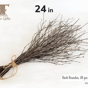 Red Birch Branches 24 in, Twig Bundle 24 ct, Thin Birch Branches, Rustic Stick, Decorative Sticks, Thin Wooden Branches, Broom Supply