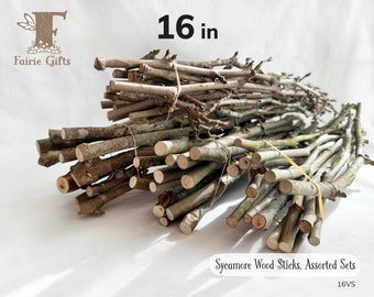 Wood Sticks 16 in, Sycamore Wooden Sticks, Twig Bundle, Craft Branches, Rustic Sticks, Dried Wooden Supply