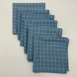 Vintage Napkins Vera Neumann Blue White Grid Square Cotton