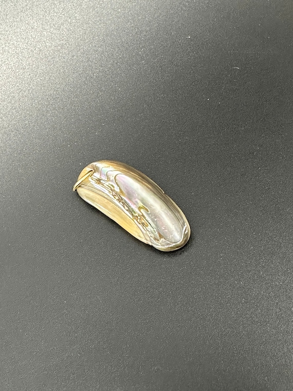 Vintage Abalone Shell Pendant Necklace Polished Na