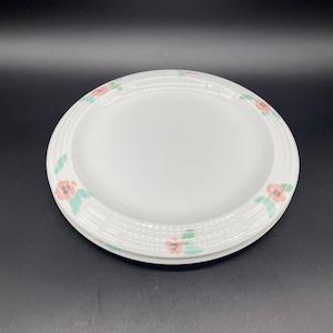 Puede incluir: Dos platos de cerámica blanca con un diseño floral. Los platos tienen un borde elevado y están decorados con flores rosas y hojas verdes.