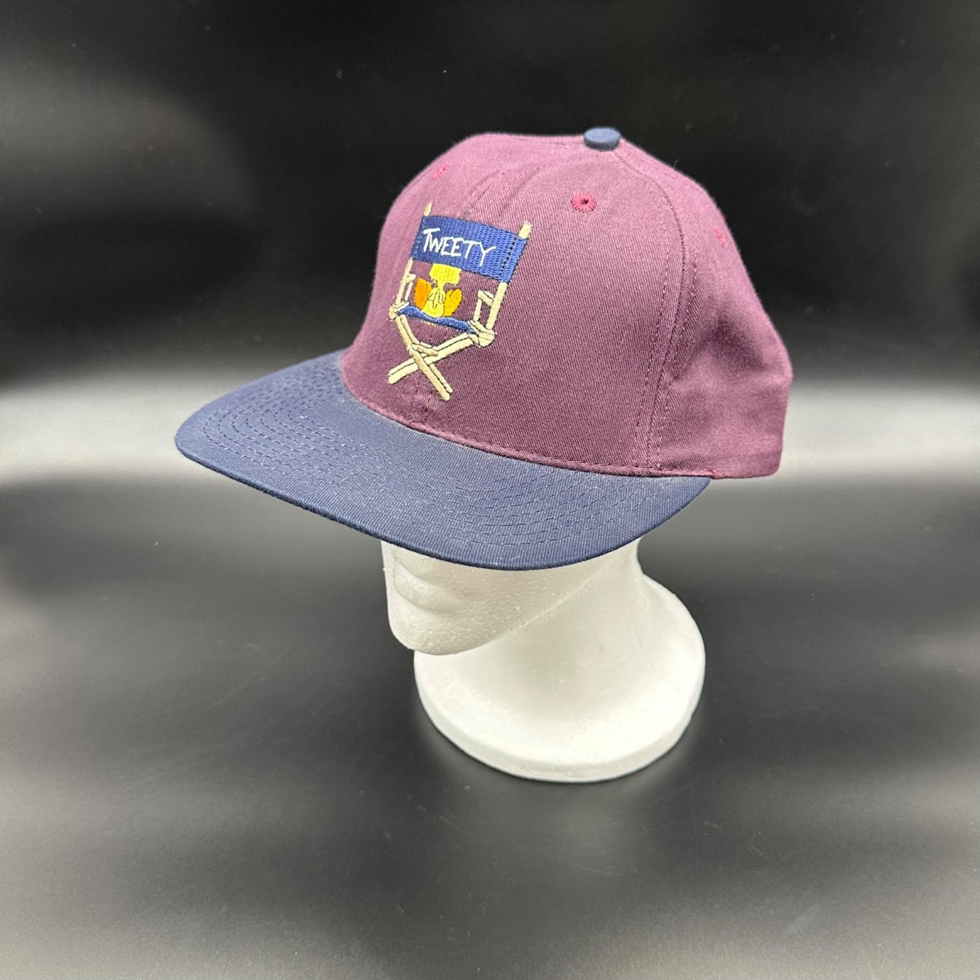 Warner Bros Cap - Etsy