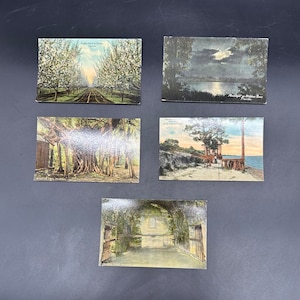 Vintage Florida Postcards Souvenirs Crafts Collage Junk Journal Scrapbook