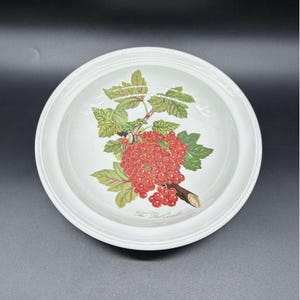 Vintage Portmeirion Pomona The Red Currant Salad Plate England Ceramic 8.5”