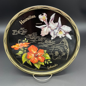 Vintage Hawaii mapa orquídea hibisco estado flor bandeja puntos de referencia pintados a mano