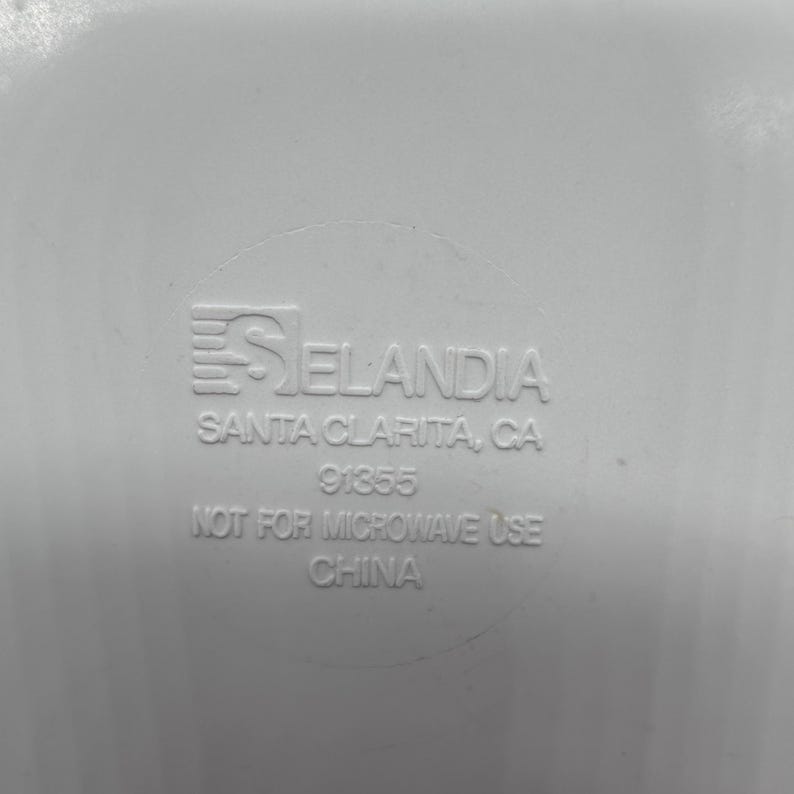 以下が含まれることがあります： 「SELADIA SANTA CLARITA, CA 91355 NOT FOR MICROWAVE USE CHINA」の文字が円形にデザインされた、明るい灰色のプラスチック表面のクローズアップ。