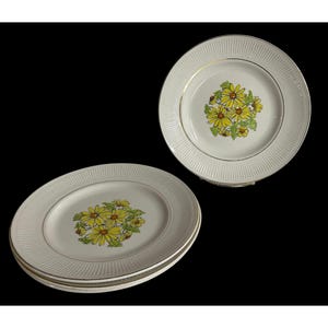 Vintage Daisy Dinner Plates Summertime Staffordshire England Set Of 4 1970s Floral Gold Trim