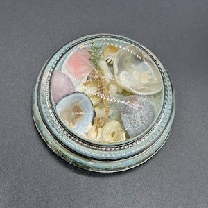 Vintage Paperweight Glass Seahorse Shell Beach Nautical Felt Bottom Desk Accessory