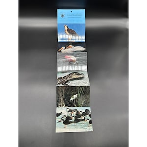 Postales antiguas de animales de Florida, 1992, recuerdo del refugio de vida silvestre JN Ding Darling