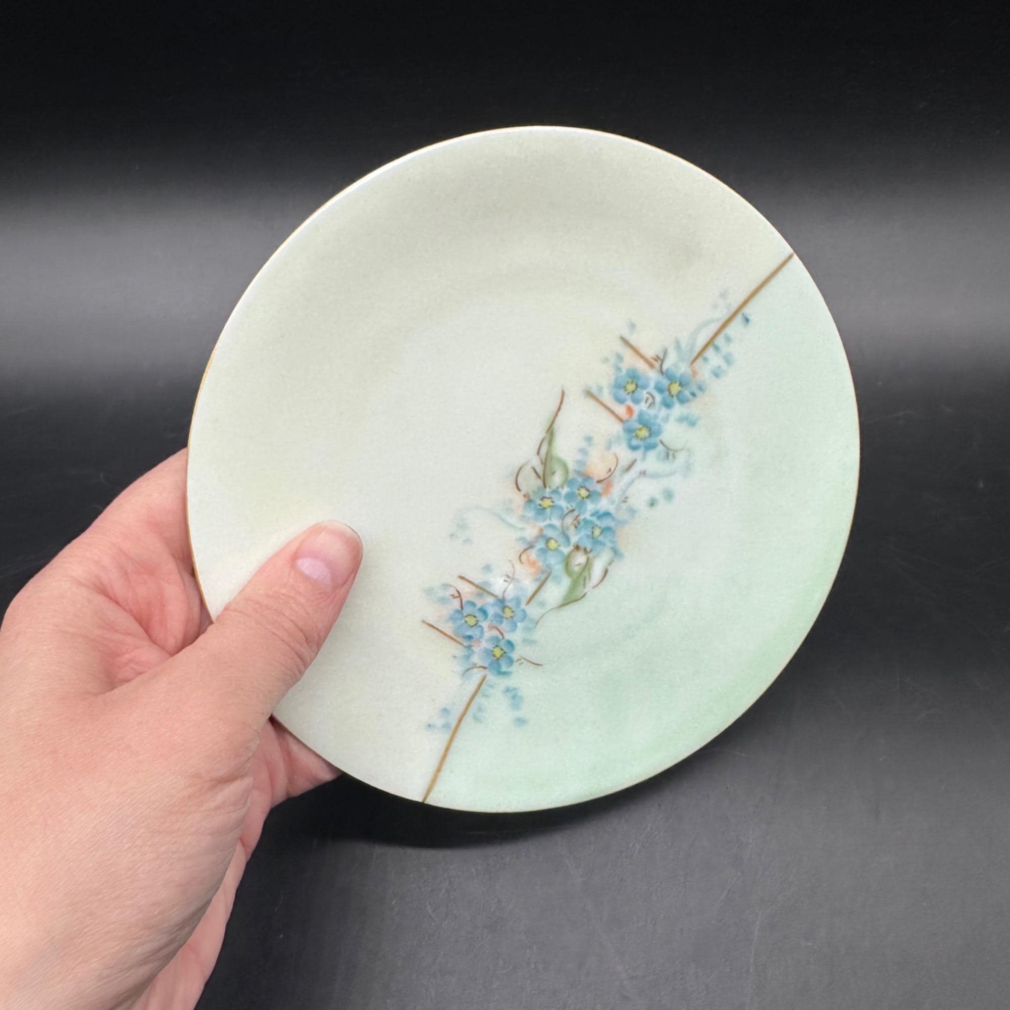 Vintage Floral Plate Hand Painted Blue Flowers Porcelain 6 Inch