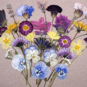 Gepresste essbare Blumen | Gartenszene | Kuchen Dekorieren | Kleiner Blumenfresser