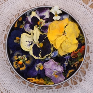 Violas | Dried Edible Flowers | Cake Decorating & Cocktail Garnish | Wee Flower Eater