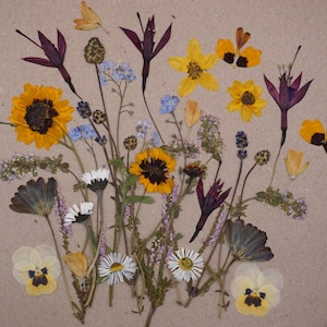 Pressed Edible Flowers | Fairy Meadow | Cake Decorating | Wee Flower Eater
